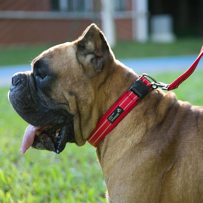 EXCELLENT ELITE SPANKER Reflective Dog Collar Classic Soft Padded Breathable Nylon Adjustable Pet Collar with Quick Release Buckle for Boy Girl Male Female Small Medium Large Dogs Training(LBLU-S)