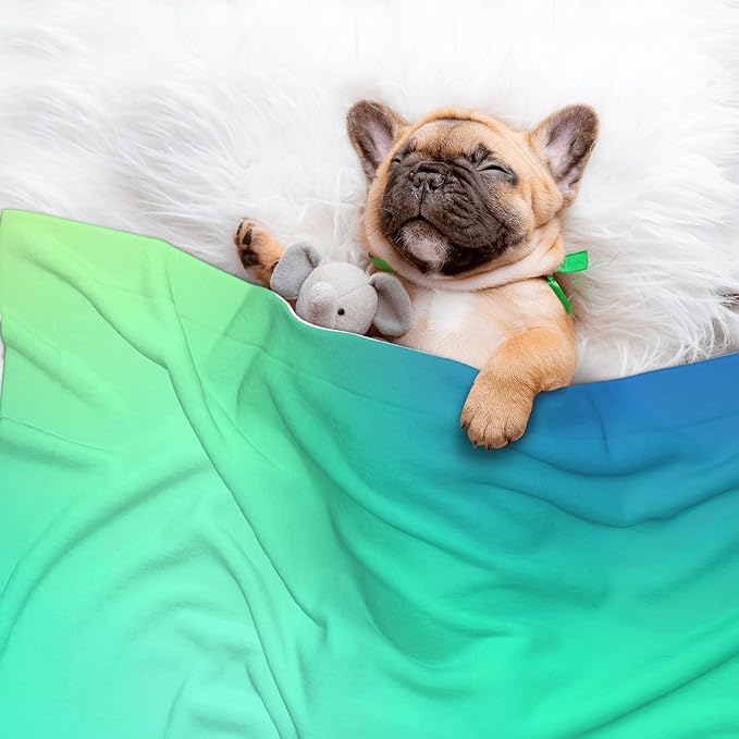 Waterproof Dog Blanket Soft Pet Blanket for Puppy Cat, Fleece Cat Throw Blankets for Furniture Bed Couch Sofa Reversible - Blue Green Colors
