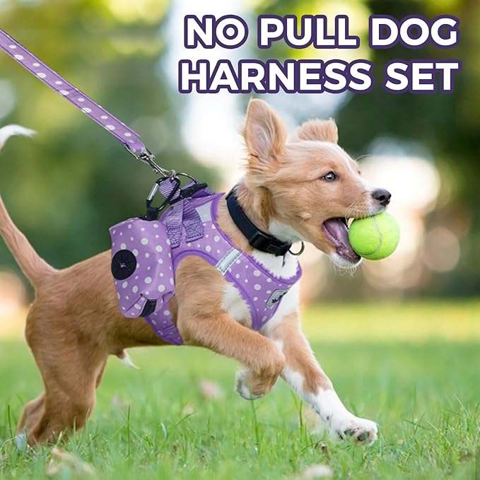 PAWCHIE Dog Harness and Leash Set, Step in No Pull Soft Pet Harness, Reflective Adjustable Puppy Vest for Small Medium Dogs Cats,No Choke Harness Vest with Poop Bag Holder for Walking,Running,Purple S