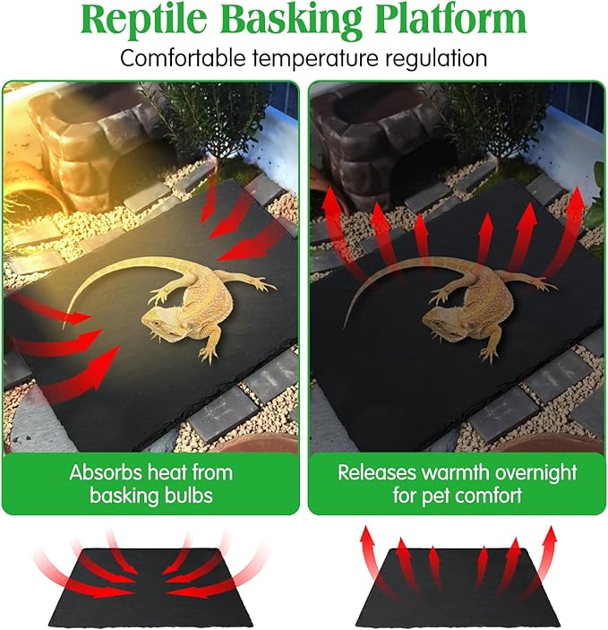 Tfwadmx 2Pcs Reptile Basking Platform Large Tortoise Feeding Bathing Area Turtle Original Rock Plate Grinding Nails Resting Terrace Habitat Decor for Amphibian Reptile Bearded Dragon Chameleon Snake