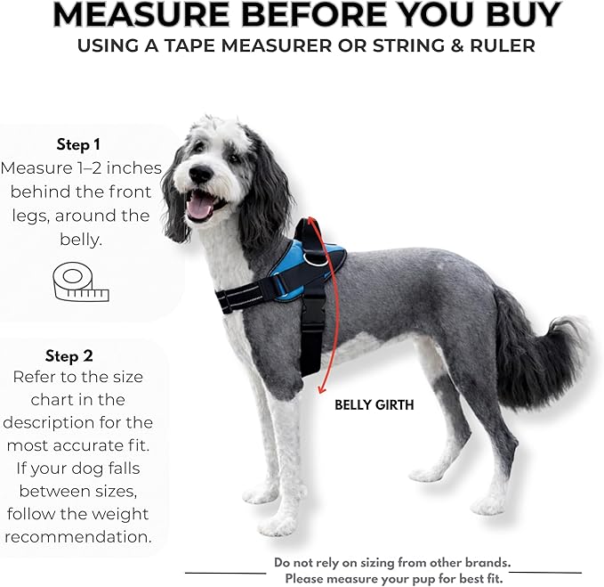 ShawnCo Essential Dog Harness, No-Pull Pet Vest with 3 Leash Clips, No Choke, Reflective, Adjustable and Padded, for Easy Walking and Training for Small, Medium and Large Dogs (Moonglow, XL)