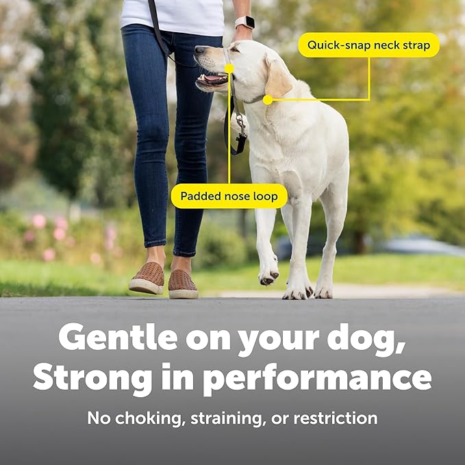 PetSafe Gentle Leader Headcollar No-Pull Dog Collar - Helps Improve Walks - Durable Nylon Construction - Padded Nose Loop - Adjustable Fit - Comfort Walking Halter - Small, Raspberry Pink