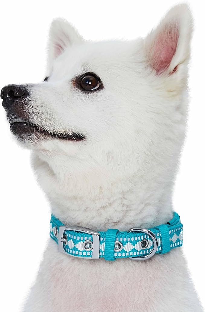 Blueberry Pet Reflective Jacquard Dog Collar with Neoprene Padding & Metal Buckle | Soft & Adjustable Safety Collar - Peacock, Neck 9-12.5", for Small Breed