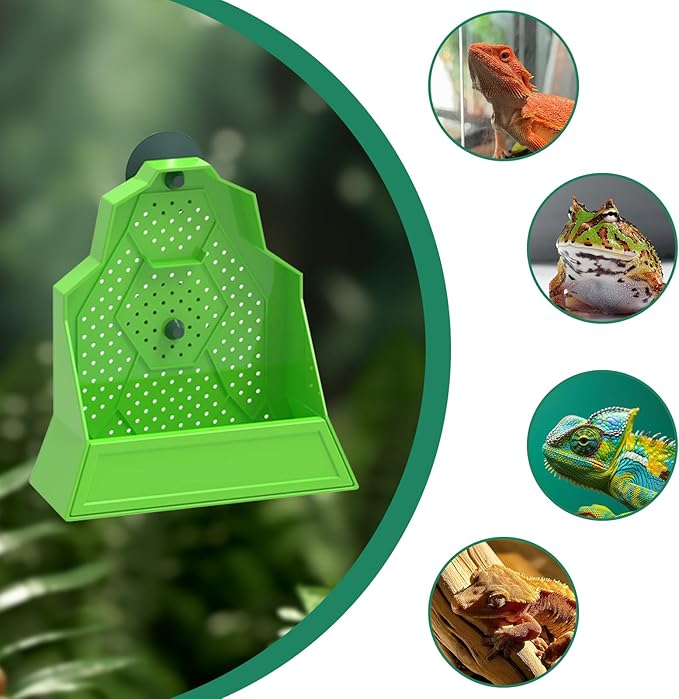 Reptile Tank Accessories, Wall-Mounted Plastic Feeder with Suction Cups, Dubia Roach & Cricket Food Bowl for Bearded Dragon, Gecko, Chameleon, Frog and Other Small Reptiles