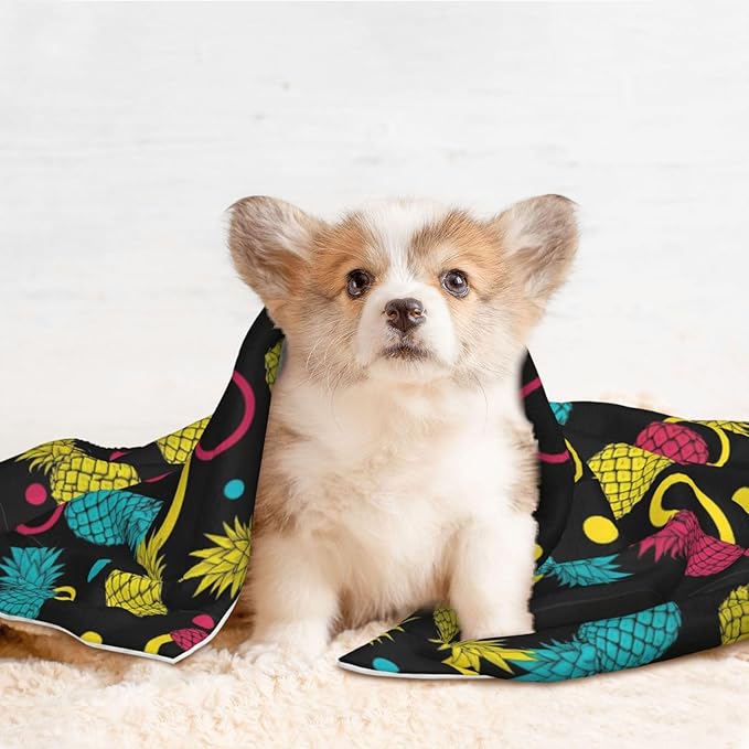 Two Sided Pet Cuddler Blanket for Anxiety Calming, Colorful Tropical Summer Pineapple Print, Reversible Plush Design with Bubble Dot Pattern Provides Familiar Surface Anywhere