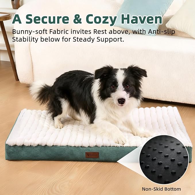 Orthopedic Dog Bed with Firm High-Density Egg Crate Foam Mattress,Soft Short Plush Surface Pet Beds,Machine Washable with Removable Cover & Non-Slip Bottom for Small Breeds (Green, 23"L x 17"W x 3"H)