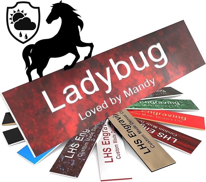 Personalized Horse Stall Name Plates, 2x10 Horse Stall Signs with Adhesive, All Weather UV Protected, Rustico Granite Plastic White Letters - Made in USA - S2