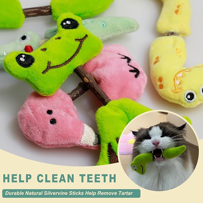 Interactive Cat Toys Set, Silvervine Chew Sticks and Cat Spring Toy, Indoor Catnip Toys for Exercise and Dental Care, for Adult Cats and Kittens (10 Packs)