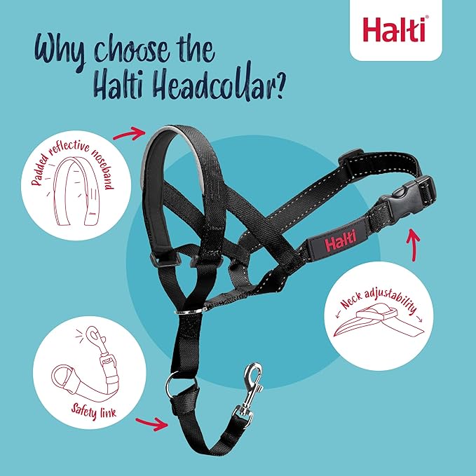 Halti Headcollar Size 4, Black & Halti Training Leash Size Large, Black Combination Pack - Stop Your Dog Pulling on the Leash. Adjustable, Lightweight with Padded Nose Band. Suitable for Large Dogs