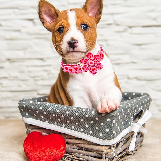 Lionheart glory Valentine's Day Dog Collar with Flower Dog Collar for Small Dogs, Soft Adjustable Hearts Dogs Collars Spring Pet Collars Flower Puppy