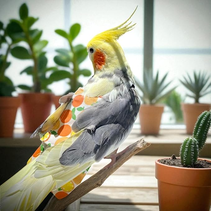6PCS Washable Reusable Bird Diapers with Waterproof Lining & Adjustable Straps – Soft Parrot Diaper Clothes Costume Set for for Parakeets, for Budgies, for Mini Macaws (S)