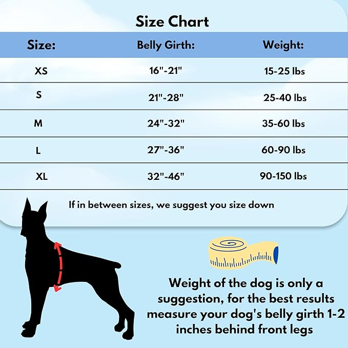 ShawnCo Dream Walk No-Pull Dog Harness- Adjustable, Comfortable, Easy to Use Pet Halter to Help Stop Pulling for Small, Medium and Large Dogs (Orchid, S)