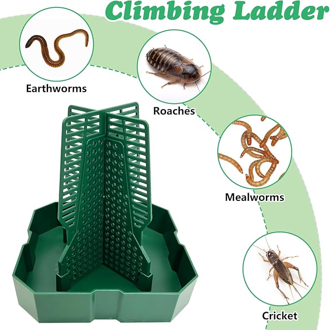 Chameleon Feeding Bowl Hanging Bearded Dragon Feeder Bug Bowls with Rope and Tweezers Mounted Insect Reptile Feeder Box for Lizard Gecko Frog (Green,Small)