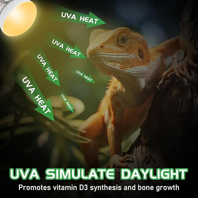 Reptile Heat Lamp Bulbs, UVA Reptile Heat Bulb 2 Pack, 25 Watt Heat Light Bulbs, Daylight Basking Spot Light for Lizard, Bearded Dragon, Snake, Gecko