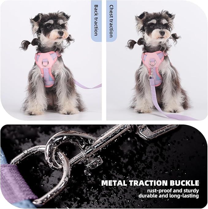 Small Dog Harness and Leash Set, Breathable Mesh Puppy Harness, Adjustable Dog Harness for Small Medium Large Dogs, No-Pull Pet Harness for Daily Walking (Blue, Medium)