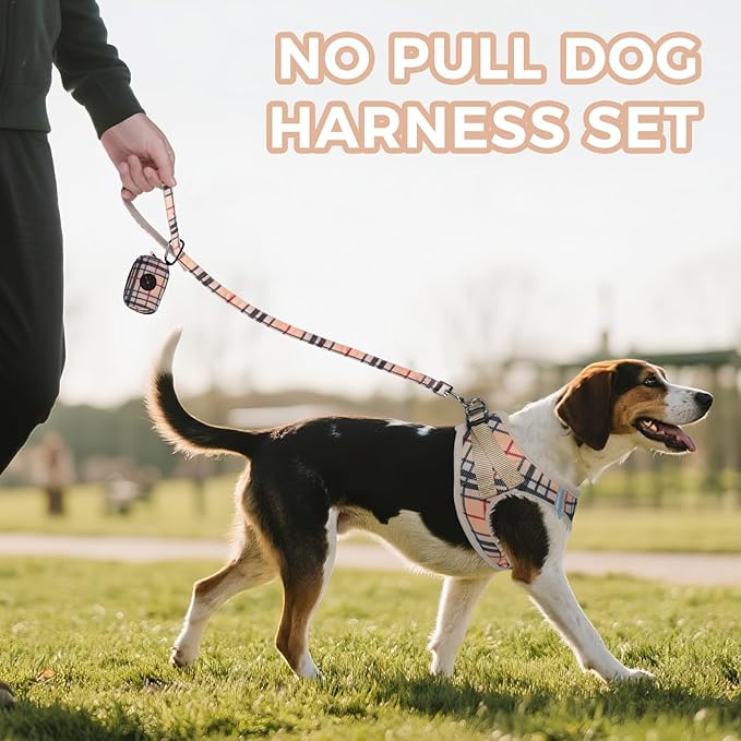 PAWCHIE Dog Harness and Leash Set, Step in No Pull Soft Pet Harness, Reflective Adjustable Puppy Vest for Small Medium Dogs Cats,No Choke Harness Vest with Poop Bag Holder for Walking,Running,Beige XS