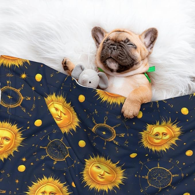 Double Sided Plush Pet Blanket with Cozy Dot Texture and Smooth Reverse, Meet 998 Boho Chic Art Golden Sun Moon And Stars Over Blue Black Sky, Reversible Throw for Dogs Cats on Couches Beds Crates