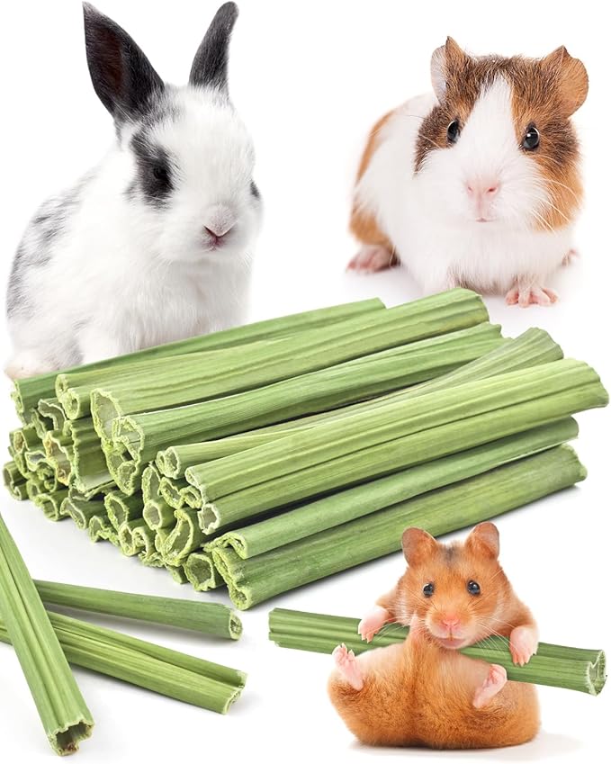 Bissap 35PCS Rabbit Chew Sticks, Natural Papaya Stems Bunny Chews Treats for Rabbit Hamster Chinchilla Guinea Pig Small Animals Organic Molar Chewing Snack