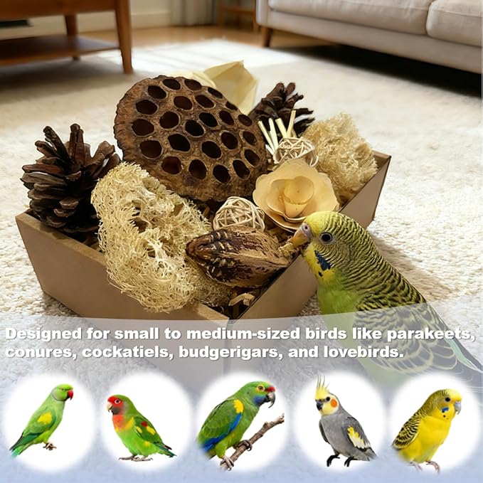 Bird Toys - Lotus Pod Foraging Box, 10 Natural Ingredients | Chewing and Shredding Parrot Toys | Ideal for Parakeets/Cockatiels/Conures/Lovebirds and Small to Medium Birds