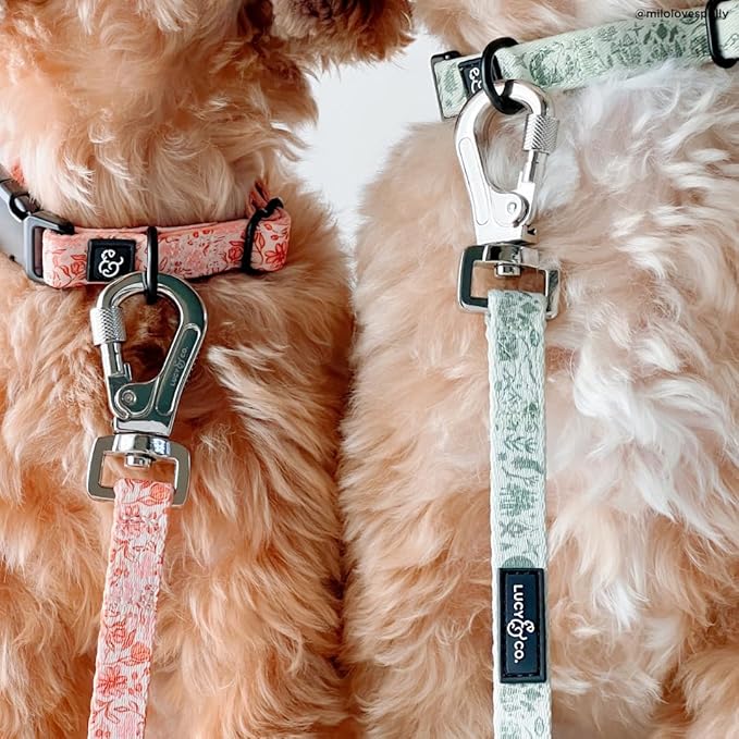 Lucy & Co. Dog Collar - Durable Lightweight Designer Collar for Pets - Adjustable Metal Safety Buckel. - Peach Pink Floral Plaid - Large