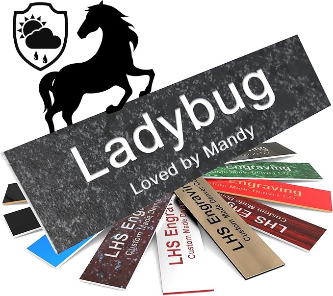 Personalized Horse Stall Name Plates, 2x12 Horse Stall Signs with Adhesive, All Weather UV Protected, Mojave Plastic White Letters - Made in USA - N8