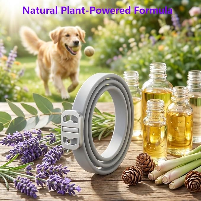 Flea and Tick Collar for Dogs 4 Packs,Dog Collars with Natural Essential Oils,Waterproof, Adjustable for Small Medium Large Dogs,Safe for Puppies (Gray)