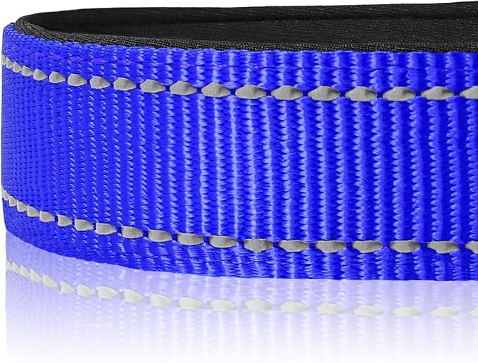 Joytale Reflective Dog Collar, Soft Neoprene Padded, Metal D-Ring, Nylon Pet Collar Adjustable for Large Dogs, Navy Blue, L