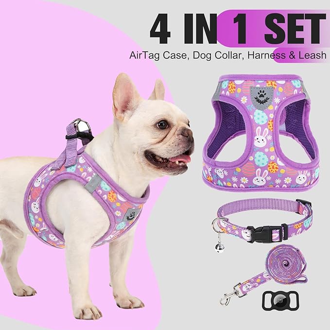 EXPAWLORER Easter Small Dog Harness - Dog Collar and Leash Set - Soft Mesh Padded Adjustable Step in Puppy Vest Harness No Pull, Reflective Escape Proof for Outdoor Walking, Bunny Egg S