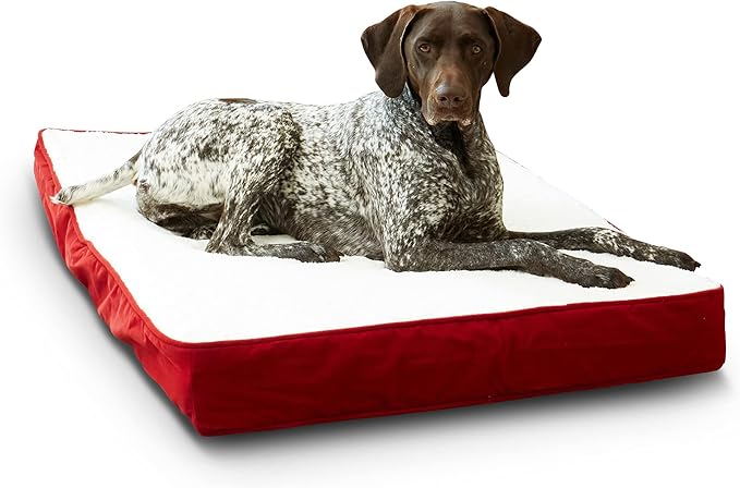 Happy Hounds Oscar Rectangle Orthopedic Foam Sherpa Dog Bed, Medium (42 x 30 in.), Red