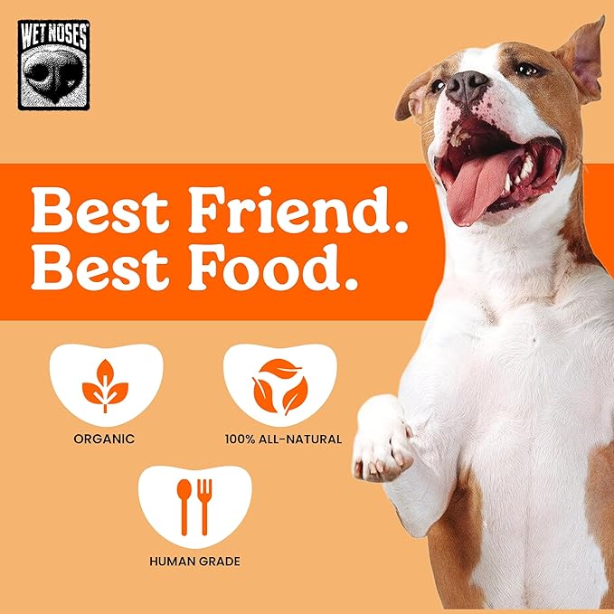 Wet Noses Organic Crunchy Dog Treats Grain Free – All-Natural, Human-Grade, Non-GMO, Healthy Training & Delicious Snacks for Dogs, for All Dog Sizes & Breeds – Carrot & Sweet Potato, 14oz (2 Pack)