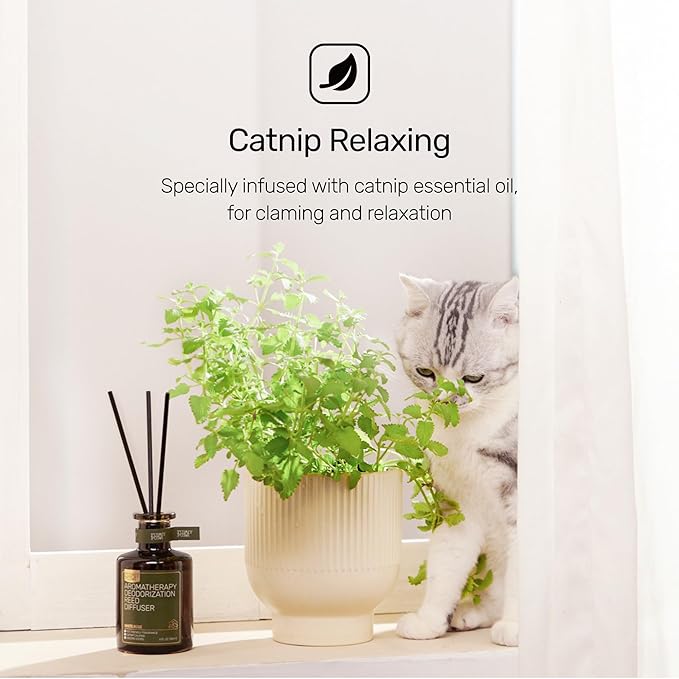 Reed Diffuser for Pet Odor Elimination, Osmanthus, Non-Toxic & Pet-Friendly Air Freshening, 6 Oz