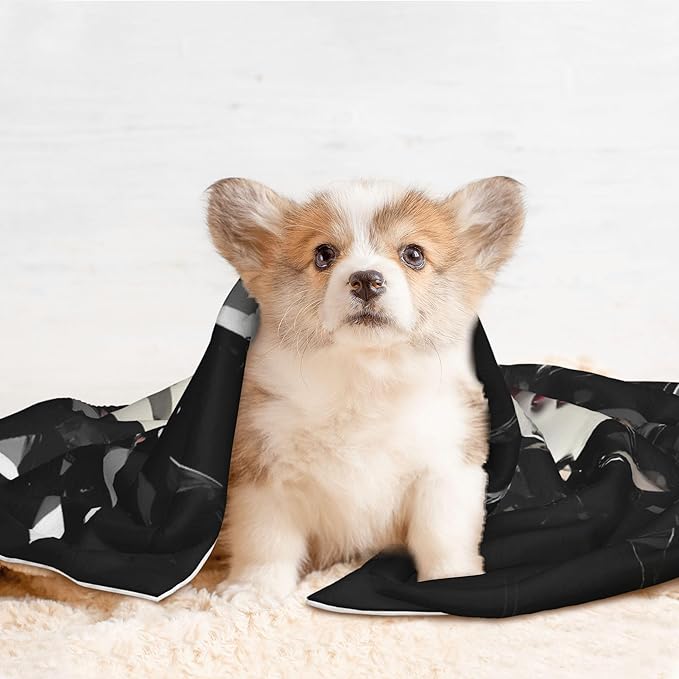 Waterproof Dog Blanket Soft Pet Blanket for Puppy Cat, Fleece Cat Throw Blankets for Furniture Bed Couch Sofa Reversible - Baseball Breaking Glass