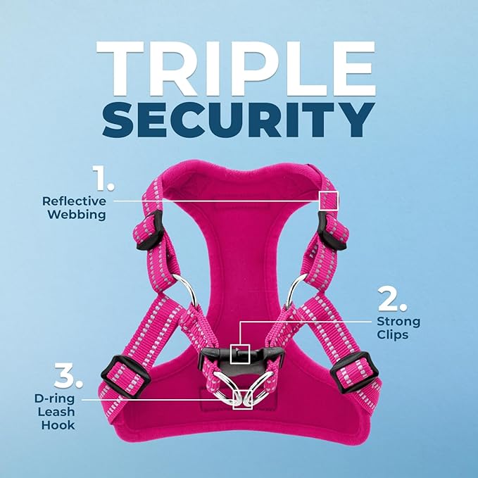 Best Pet Supplies Voyager Adjustable Step-In Flex Breathable Mesh Dog Harness for Small Medium Large Dogs (Fuchsia), XL