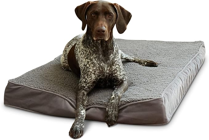 Happy Hounds Oscar Rectangle Orthopedic Foam Sherpa Dog Bed, Medium (42 x 30 in.), Pewter
