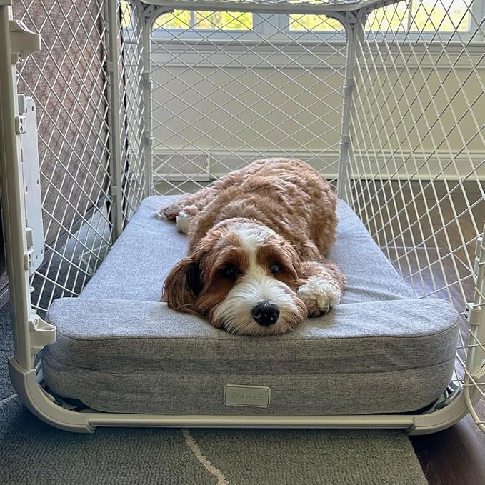 Diggs Bolstr Orthopedic Dog Bed with Headrest - Dog Crate Bed for Evolv Crate & Other Standard Pet Kennels - Durable & Comfortable - (X-Large)
