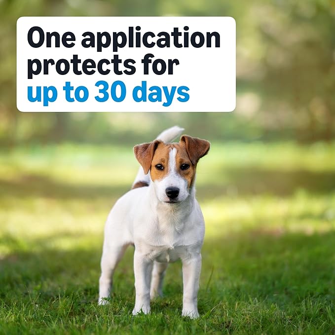 Amazon Basics Preventative Flea, Tick & Mosquito Topical Treatment for Medium Dogs (11-20 Pounds), 4 Count, Packaging May Vary