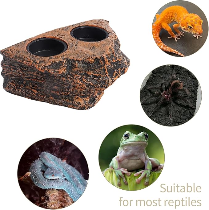 Reptile Magnetic Feeder Ledge, Reptile Food and Water Dish with 2PCS Bowls Feeding Cups for Lizards, Crested Gecko, Lizards and Chameleons Pets, Easy Install Terrarium Tank Accessory (Dual Feeder)