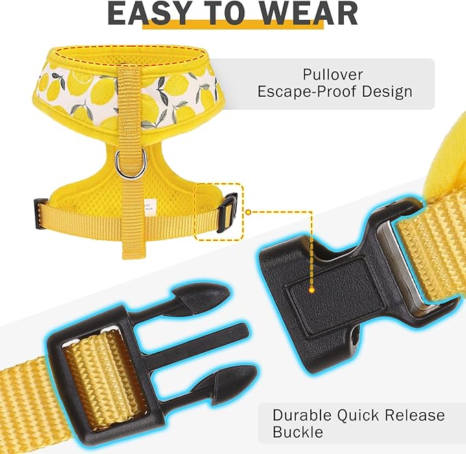SCENEREAL Small Dog Harness and Leash Collar Set - No Pull Dog Harness for Small & Medium Sized Dogs - Soft Mesh Vest for Puppies, Chihuahua, Yorkie, Spring Summer Hiking Walking, Yellow Lemon XS