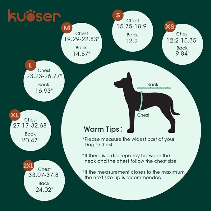 Kuoser Dog Recovery Suit for Back Legs, Thigh Wound Protective Sleeve for Dogs, Dog Recovery Sleeve for Female Male Dogs, Dog Onesie After Surgery Pet Surgical Suit for Spay Neuter, Pink L