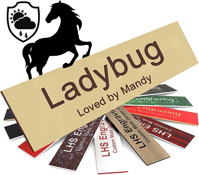 Personalized Horse Stall Name Plates, 2x8 Horse Stall Signs with Adhesive, All Weather UV Protected, Ivory Plastic with Brown Letters - Made in USA - B5