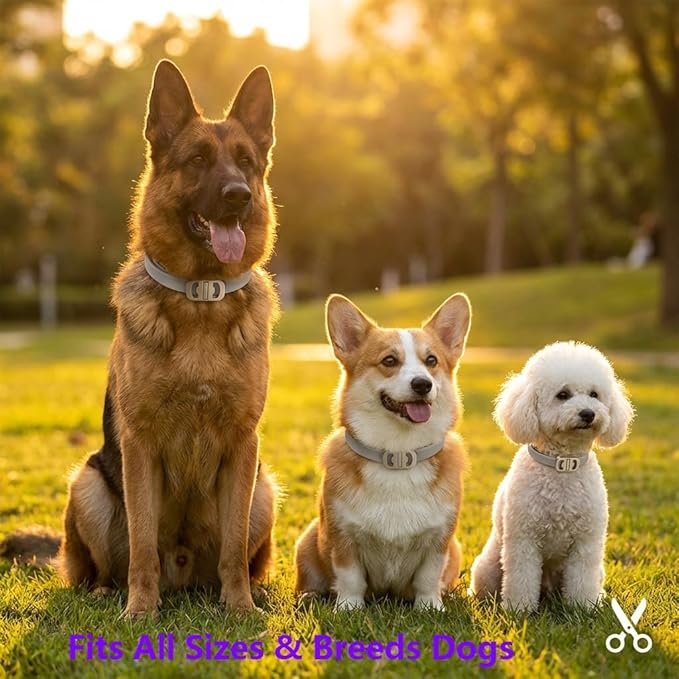 Flea and Tick Collar for Dogs 4 Packs,Dog Collars with Natural Essential Oils,Waterproof, Adjustable for Small Medium Large Dogs,Safe for Puppies (Gray)