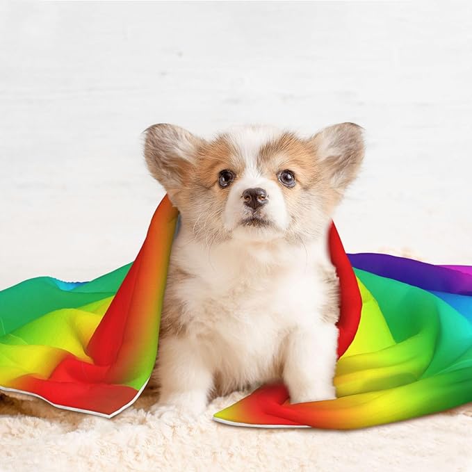 Reversible Plush Dot Pet Blanket for Dogs and Cats, Colorful, Ultra Soft Two Sided Design with Warm Fuzzy Side and Smooth Side for Comfort