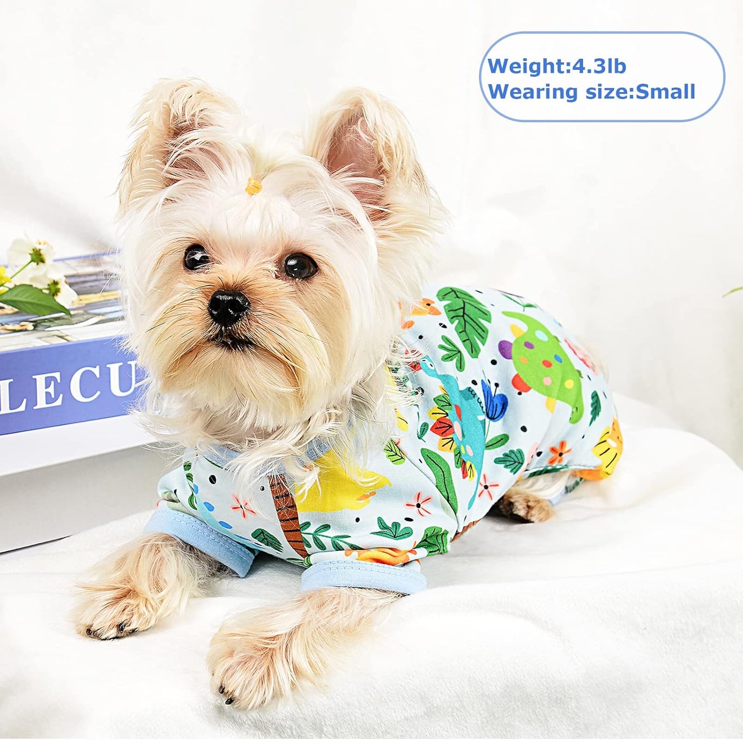 Dog Pajamas Pjs Spring Summer Dog Clothes for Small Dogs Girl - Boy - Medium Size Dogs, Soft Stretchy Puppy Clothes Doggie Onesies Cat Pet Jammies Outfit (Dinosaur Blue, XX-Large)
