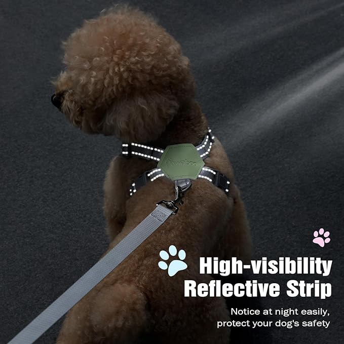 Pawaboo Small Dog Harness and Leash Set, Puppy Harness X-Frame No Pull No Choke, Dog Vest Harness Adjustable for Small Medium Sized Dogs, Soft Breathable Pet Harness for Walking Outing, M, Mint Green
