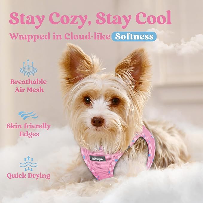 rabbitgoo Small Dog Harness, Step-in Soft Mesh Puppy Vest with Safety Buckle, Breathable Reflective Pet Harness for Extra Small Dogs, Pink & Plaid Trim XXS