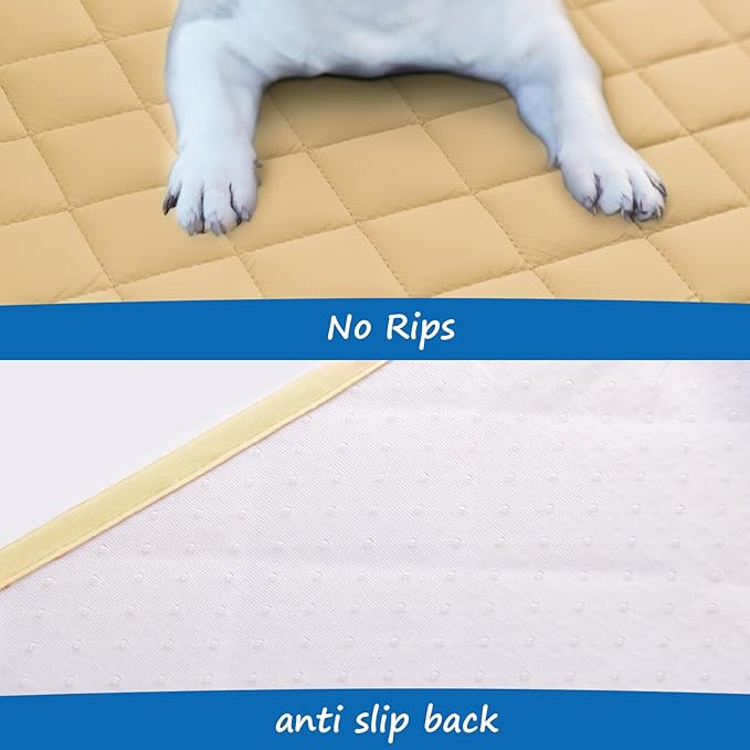 Coldwind Couch Cover for Dogs Washable, Waterproof Dog Bed Pet Blanket for Sofa Furniture, Waterproof Sheet Dog Blanket (30 x 70 Inch)