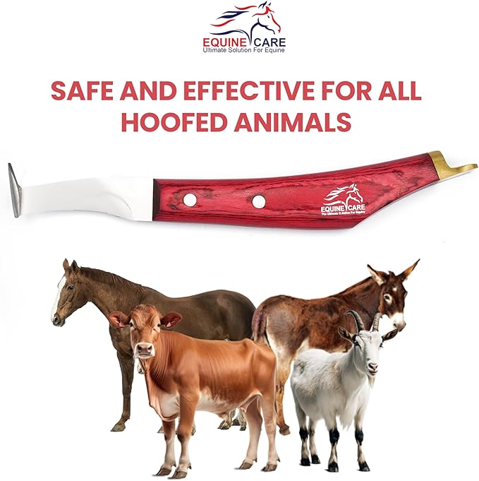 Equine Care Hoof Knife - J2 Japanese Steel Blade with Hoof Pick, Brass Topper Sheet Handle - Farrier Tool for Horse & Cow Hoof Care, Shoeing, Trimming, and Supplies. (Right-Handed)