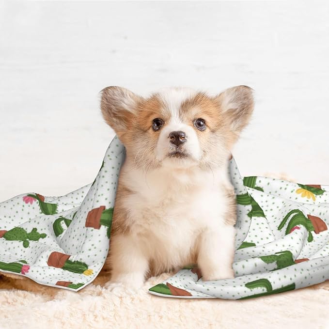 Reversible Pet Blanket for Sofa Protection Pet Comfort, Cactus Floral Bloom Flower Summer Tropical Watercolor, Double Sided Design with Cozy Nubby Nap Side and Durable Smooth Play Side