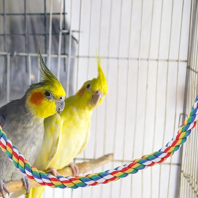 iplusmile Bird Rope Perches Toys for Parrots, Birdcage Spiral Swing Bungee Colorful Rope Toy for Parrots, Cockatiels, Parakeets, Budgie Cages Accessories (40inch)