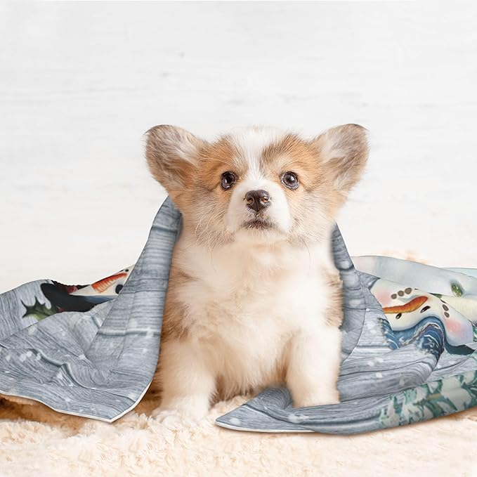 Winter Snowman Throw Blanket - Wodden Blanket for Dog Cat Snowy Pet Blankets 40x30 for Couch Sofa Bed